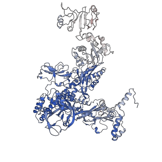 33271_7xl3_C_v1-1
Cryo-EM structure of Pseudomonas aeruginosa RNAP sigmaS holoenzyme complexes with transcription factor SutA (open lobe)