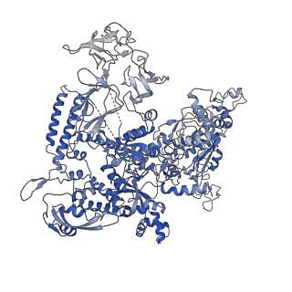 33271_7xl3_D_v1-1
Cryo-EM structure of Pseudomonas aeruginosa RNAP sigmaS holoenzyme complexes with transcription factor SutA (open lobe)