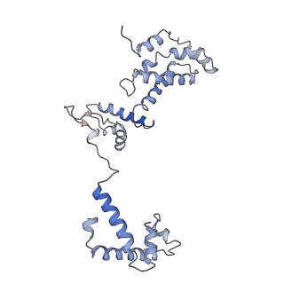 33271_7xl3_F_v1-1
Cryo-EM structure of Pseudomonas aeruginosa RNAP sigmaS holoenzyme complexes with transcription factor SutA (open lobe)