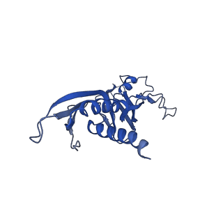33272_7xl4_A_v1-1
Cryo-EM structure of Pseudomonas aeruginosa RNAP sigmaS holoenzyme complexes with transcription factor SutA (closed lobe)