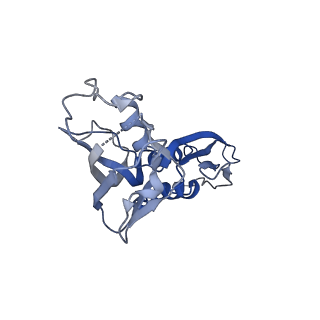 33272_7xl4_B_v1-1
Cryo-EM structure of Pseudomonas aeruginosa RNAP sigmaS holoenzyme complexes with transcription factor SutA (closed lobe)