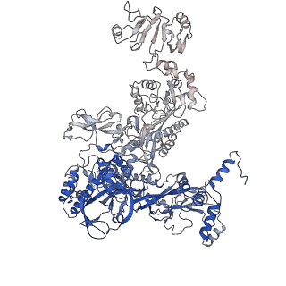 33272_7xl4_C_v1-1
Cryo-EM structure of Pseudomonas aeruginosa RNAP sigmaS holoenzyme complexes with transcription factor SutA (closed lobe)