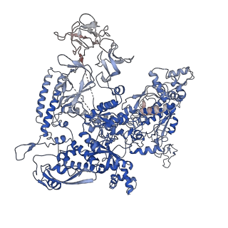 33272_7xl4_D_v1-1
Cryo-EM structure of Pseudomonas aeruginosa RNAP sigmaS holoenzyme complexes with transcription factor SutA (closed lobe)