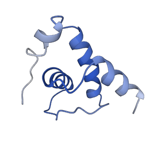 33272_7xl4_E_v1-1
Cryo-EM structure of Pseudomonas aeruginosa RNAP sigmaS holoenzyme complexes with transcription factor SutA (closed lobe)