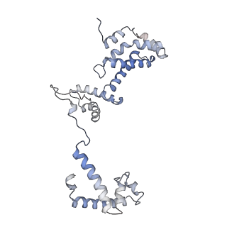 33272_7xl4_F_v1-1
Cryo-EM structure of Pseudomonas aeruginosa RNAP sigmaS holoenzyme complexes with transcription factor SutA (closed lobe)