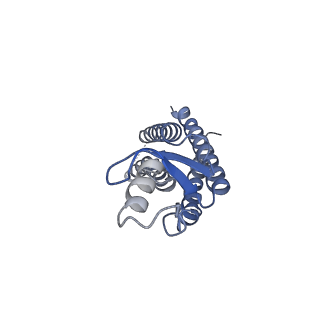 33274_7xl8_B_v1-0
Human Cx36/GJD2 (N-terminal deletion mutant) gap junction channel in soybean lipids (D6 symmetry)