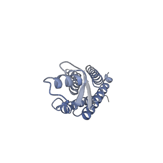 33274_7xl8_C_v1-0
Human Cx36/GJD2 (N-terminal deletion mutant) gap junction channel in soybean lipids (D6 symmetry)