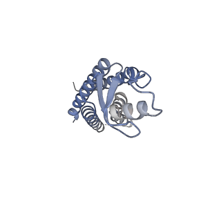 33274_7xl8_F_v1-0
Human Cx36/GJD2 (N-terminal deletion mutant) gap junction channel in soybean lipids (D6 symmetry)