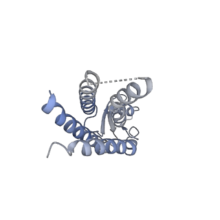 33274_7xl8_G_v1-0
Human Cx36/GJD2 (N-terminal deletion mutant) gap junction channel in soybean lipids (D6 symmetry)