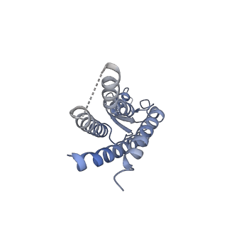 33274_7xl8_H_v1-0
Human Cx36/GJD2 (N-terminal deletion mutant) gap junction channel in soybean lipids (D6 symmetry)