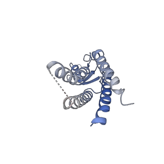 33274_7xl8_I_v1-0
Human Cx36/GJD2 (N-terminal deletion mutant) gap junction channel in soybean lipids (D6 symmetry)
