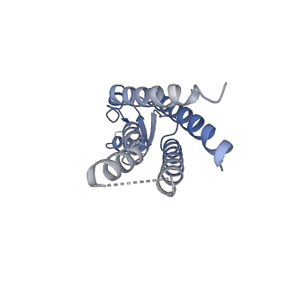 33274_7xl8_J_v1-0
Human Cx36/GJD2 (N-terminal deletion mutant) gap junction channel in soybean lipids (D6 symmetry)