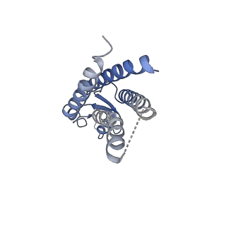 33274_7xl8_K_v1-0
Human Cx36/GJD2 (N-terminal deletion mutant) gap junction channel in soybean lipids (D6 symmetry)