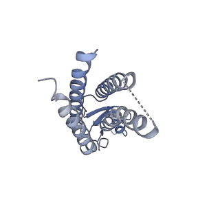 33274_7xl8_L_v1-0
Human Cx36/GJD2 (N-terminal deletion mutant) gap junction channel in soybean lipids (D6 symmetry)
