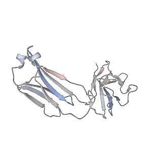 33286_7xlt_L_v1-2
Cryo-EM Structure of R-loop monoclonal antibody S9.6 in recognizing RNA:DNA hybrids