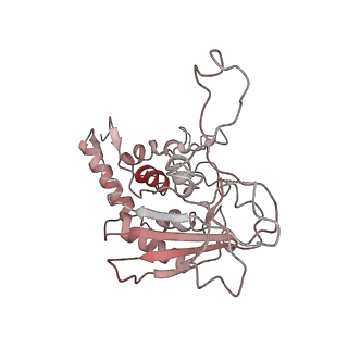 6729_5xlo_A_v1-1
Anti-CRISPR proteins AcrF1/2 bound to Csy surveillance complex with a 32nt spacer crRNA backbone region