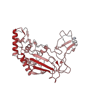 6729_5xlo_B_v1-0
Anti-CRISPR proteins AcrF1/2 bound to Csy surveillance complex with a 32nt spacer crRNA backbone region