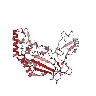 6729_5xlo_B_v1-1
Anti-CRISPR proteins AcrF1/2 bound to Csy surveillance complex with a 32nt spacer crRNA backbone region