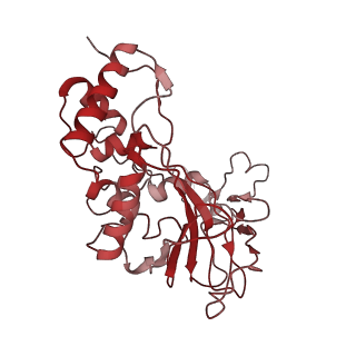 6729_5xlo_C_v1-1
Anti-CRISPR proteins AcrF1/2 bound to Csy surveillance complex with a 32nt spacer crRNA backbone region