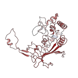 6729_5xlo_E_v1-0
Anti-CRISPR proteins AcrF1/2 bound to Csy surveillance complex with a 32nt spacer crRNA backbone region