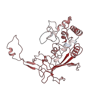 6729_5xlo_E_v1-1
Anti-CRISPR proteins AcrF1/2 bound to Csy surveillance complex with a 32nt spacer crRNA backbone region