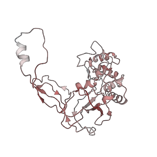 6729_5xlo_F_v1-1
Anti-CRISPR proteins AcrF1/2 bound to Csy surveillance complex with a 32nt spacer crRNA backbone region