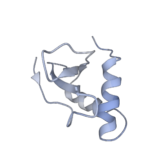 6729_5xlo_M_v1-1
Anti-CRISPR proteins AcrF1/2 bound to Csy surveillance complex with a 32nt spacer crRNA backbone region