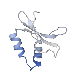 6729_5xlo_N_v1-1
Anti-CRISPR proteins AcrF1/2 bound to Csy surveillance complex with a 32nt spacer crRNA backbone region