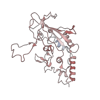 6731_5xlp_C_v1-0
Anti-CRISPR proteins AcrF1/2 bound to Csy surveillance complex with a 20nt spacer crRNA backbone region