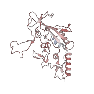 6731_5xlp_C_v1-1
Anti-CRISPR proteins AcrF1/2 bound to Csy surveillance complex with a 20nt spacer crRNA backbone region