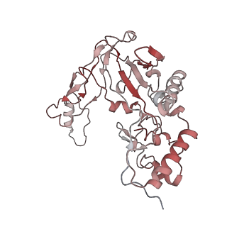 6731_5xlp_D_v1-1
Anti-CRISPR proteins AcrF1/2 bound to Csy surveillance complex with a 20nt spacer crRNA backbone region