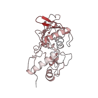 6731_5xlp_E_v1-0
Anti-CRISPR proteins AcrF1/2 bound to Csy surveillance complex with a 20nt spacer crRNA backbone region