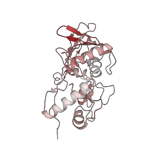 6731_5xlp_E_v1-1
Anti-CRISPR proteins AcrF1/2 bound to Csy surveillance complex with a 20nt spacer crRNA backbone region