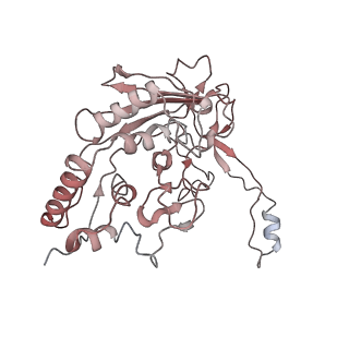 6731_5xlp_F_v1-0
Anti-CRISPR proteins AcrF1/2 bound to Csy surveillance complex with a 20nt spacer crRNA backbone region
