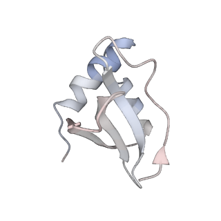 6731_5xlp_M_v1-0
Anti-CRISPR proteins AcrF1/2 bound to Csy surveillance complex with a 20nt spacer crRNA backbone region