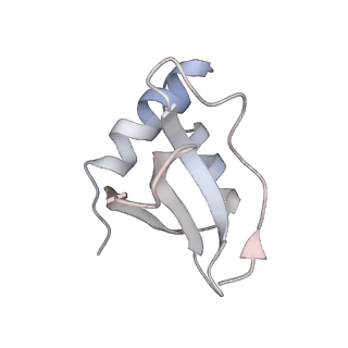 6731_5xlp_M_v1-1
Anti-CRISPR proteins AcrF1/2 bound to Csy surveillance complex with a 20nt spacer crRNA backbone region