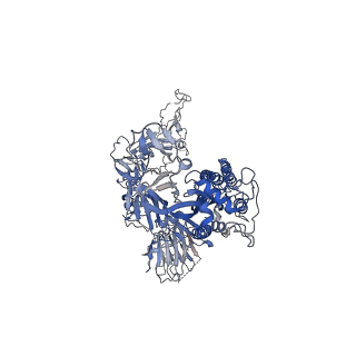 6732_5xlr_A_v1-2
Structure of SARS-CoV spike glycoprotein