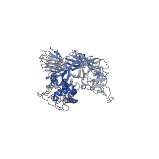 6732_5xlr_C_v1-2
Structure of SARS-CoV spike glycoprotein