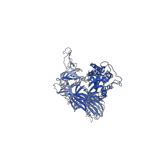 22254_6xm3_A_v1-1
Structure of SARS-CoV-2 spike at pH 5.5, single RBD up, conformation 1