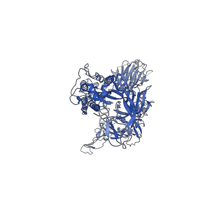 22254_6xm3_C_v1-1
Structure of SARS-CoV-2 spike at pH 5.5, single RBD up, conformation 1