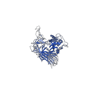 22255_6xm4_A_v1-1
Structure of SARS-CoV-2 spike at pH 5.5, single RBD up, conformation 2