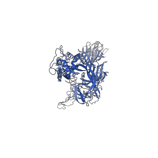 22255_6xm4_C_v1-1
Structure of SARS-CoV-2 spike at pH 5.5, single RBD up, conformation 2