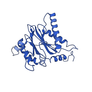 22259_6xmj_B_v1-1
Human 20S proteasome bound to an engineered 11S (PA26) activator