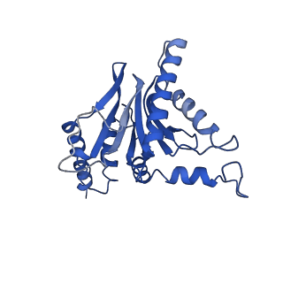 22259_6xmj_C_v1-1
Human 20S proteasome bound to an engineered 11S (PA26) activator