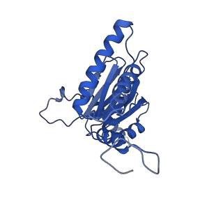 22259_6xmj_D_v1-1
Human 20S proteasome bound to an engineered 11S (PA26) activator