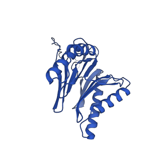 22259_6xmj_I_v1-1
Human 20S proteasome bound to an engineered 11S (PA26) activator