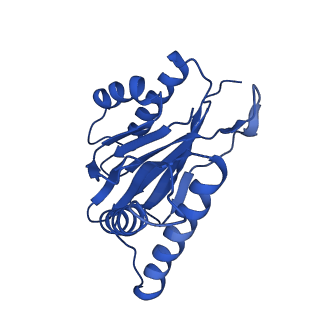 22259_6xmj_K_v1-1
Human 20S proteasome bound to an engineered 11S (PA26) activator