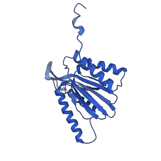 22259_6xmj_N_v1-1
Human 20S proteasome bound to an engineered 11S (PA26) activator
