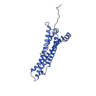 22259_6xmj_O_v1-1
Human 20S proteasome bound to an engineered 11S (PA26) activator
