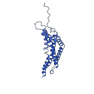 22259_6xmj_P_v1-1
Human 20S proteasome bound to an engineered 11S (PA26) activator